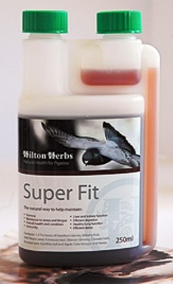 Hilton Herbs- Super Fit Herbal supplement for stamina - Natural Remedy - Glamorous Gouldians