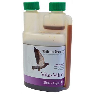 Hilton Herbs Vita-Min Plus - All natural Vitamins Supplement for Birds - Glamorous Gouldians